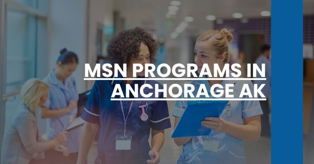 MSN Programs in Anchorage AK Feature Image