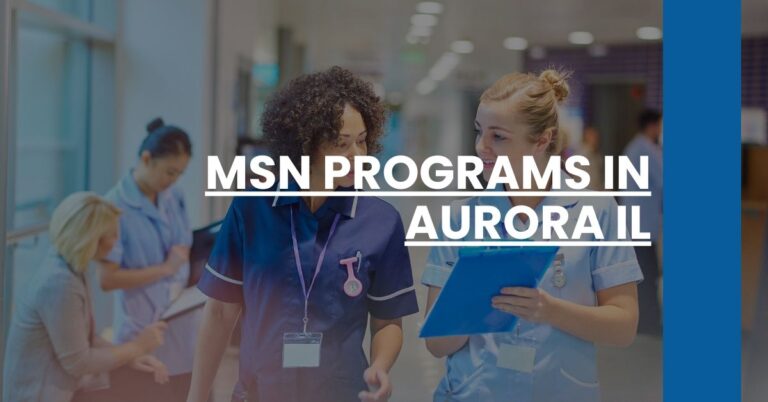 MSN Programs in Aurora IL Feature Image