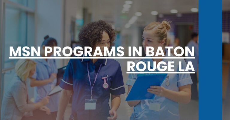 MSN Programs in Baton Rouge LA Feature Image