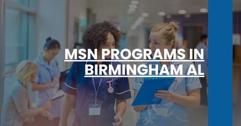 MSN Programs in Birmingham AL Feature Image