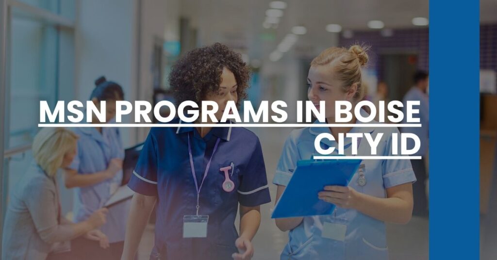 MSN Programs in Boise City ID Feature Image