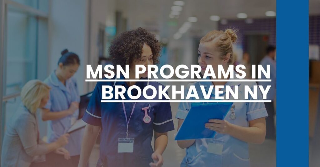 MSN Programs in Brookhaven NY Feature Image