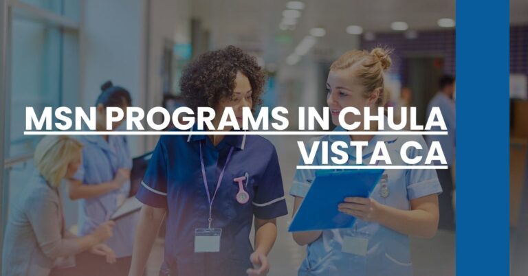 MSN Programs in Chula Vista CA Feature Image