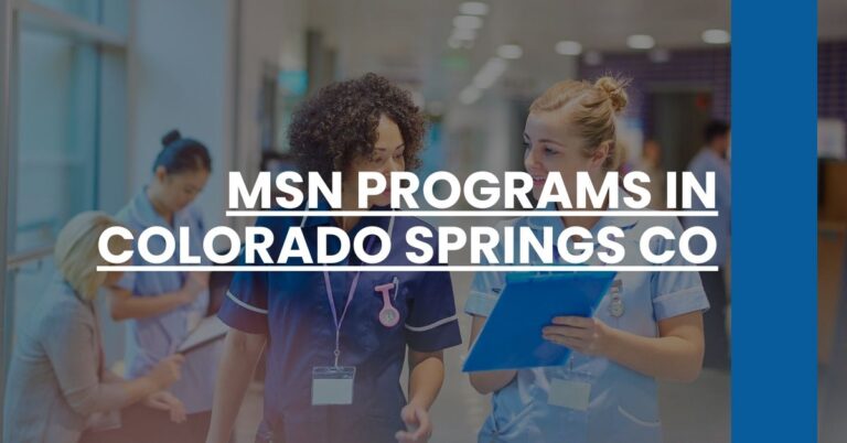 MSN Programs in Colorado Springs CO Feature Image