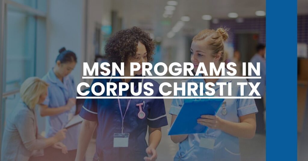 MSN Programs in Corpus Christi TX Feature Image