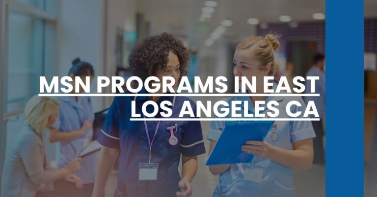 MSN Programs in East Los Angeles CA Feature Image