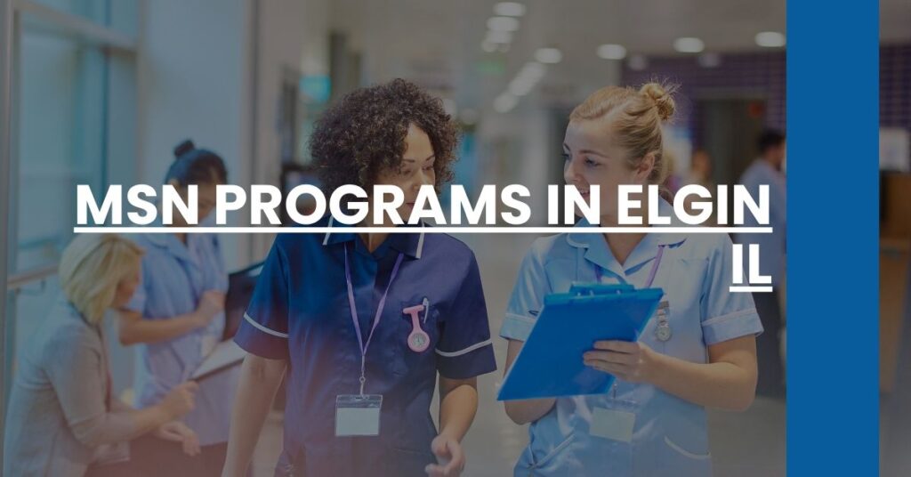 MSN Programs in Elgin IL Feature Image