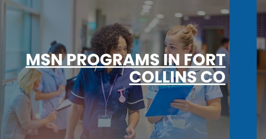 MSN Programs in Fort Collins CO Feature Image