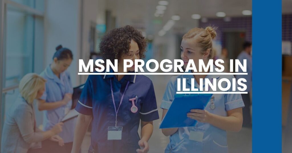 MSN Programs in Illinois Feature Image