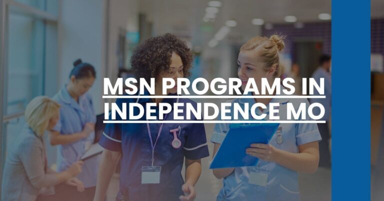 MSN Programs in Independence MO Feature Image