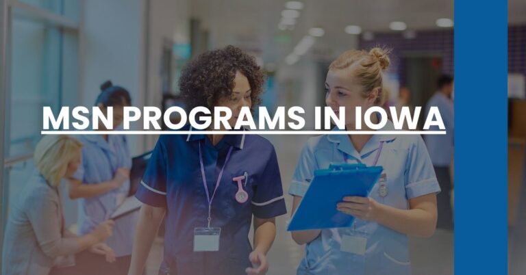 MSN Programs in Iowa Feature Image