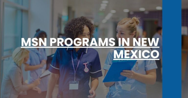 MSN Programs in New Mexico Feature Image