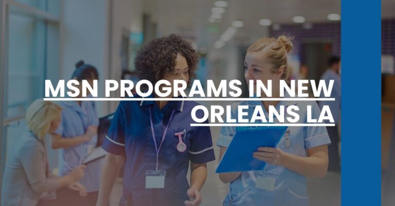 MSN Programs in New Orleans LA Feature Image