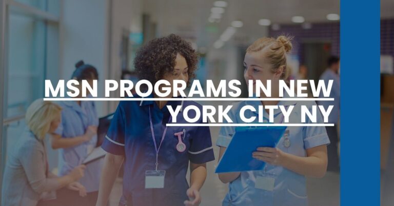 MSN Programs in New York City NY Feature Image