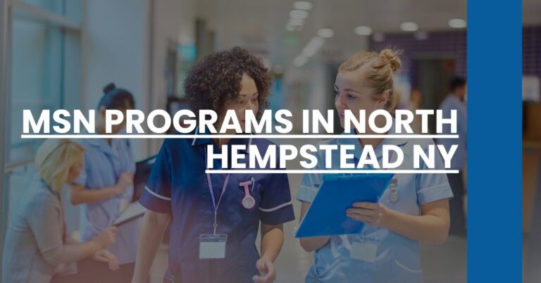 MSN Programs in North Hempstead NY Feature Image