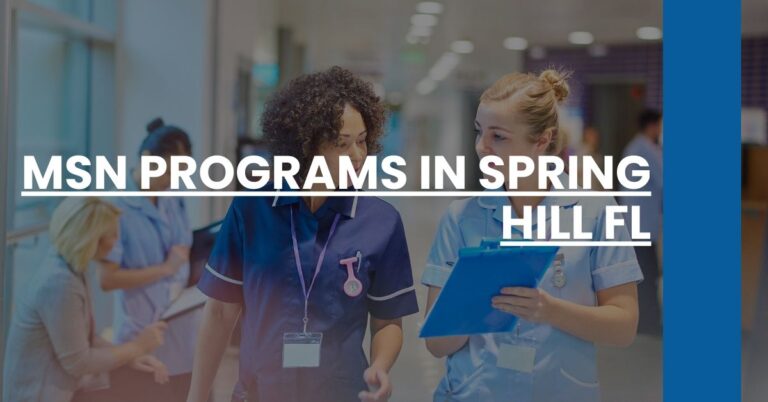 MSN Programs in Spring Hill FL Feature Image