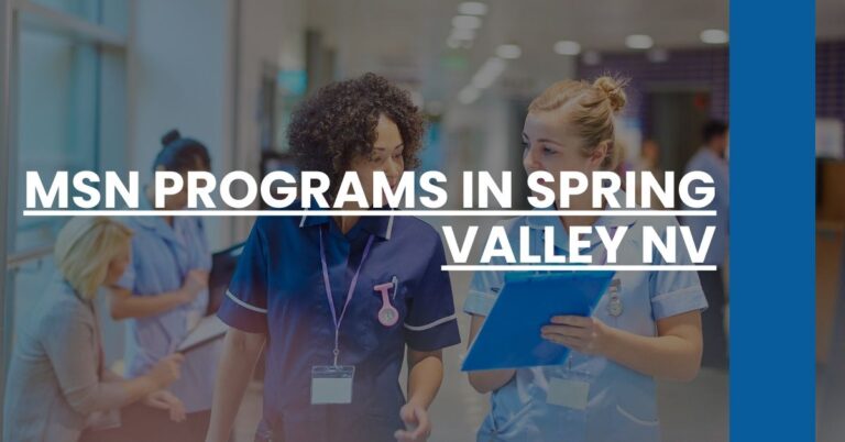 MSN Programs in Spring Valley NV Feature Image