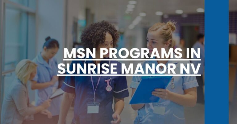 MSN Programs in Sunrise Manor NV Feature Image