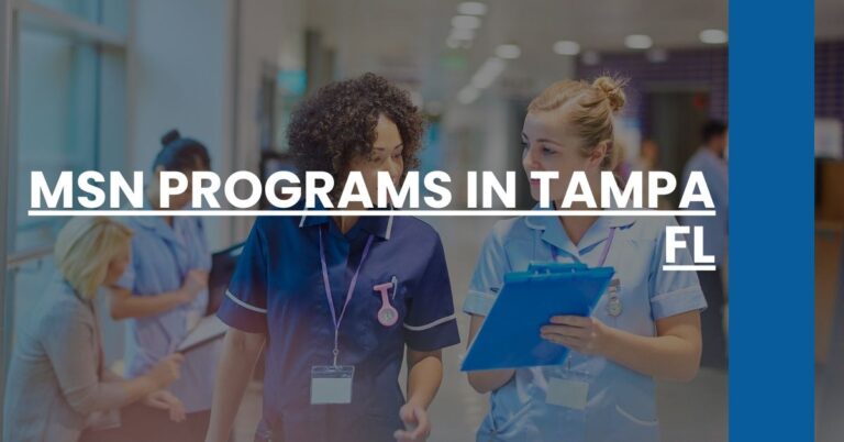 MSN Programs in Tampa FL Feature Image