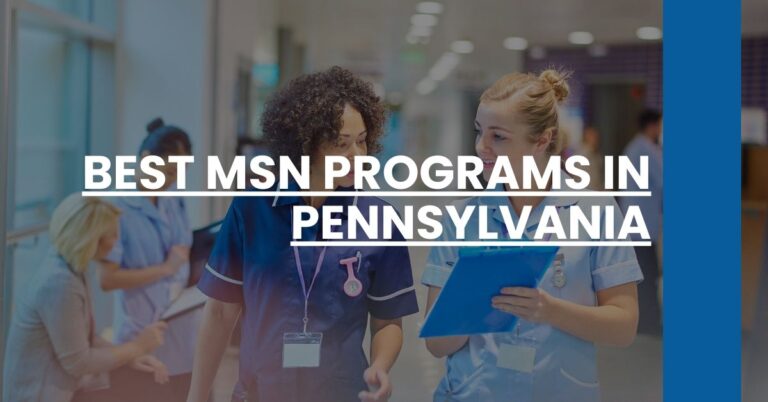 Best MSN Programs In Pennsylvania Feature Image