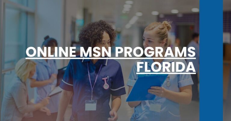 Online MSN Programs Florida Feature Image